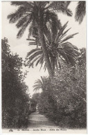 Delcampe - CPA DE BLIDA  (ALGÉRIE)  JARDIN BIZOT  -  ALLÉE DES ROSES - Blida