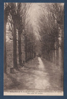 Delcampe - 62 SAINT POL Sur TERNOISE  Monastère N. D. De BELVAL Une Allée Du Jardin - Saint Pol Sur Ternoise