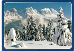 Flumserberg - Blick Auf Alvier Und Gauschla (Napoleon) (1096) - Flums