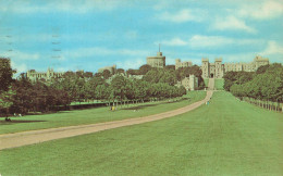 [-5%] ROYAUME-UNI - Le Long Walk Windsor - Vue Générale - Animé - Carte Postale - Windsor