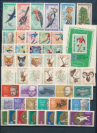 ** 1965-1966 Összeállítás Sorokkal, Blokkokkal, A/4-es Berakólap Mindkét Oldalán - Other & Unclassified