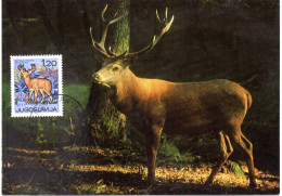Delcampe - GIBIER / CERF = YOUGOSLAVIE 1967  N° 1124  = CARTE MAXIMUM - Wild