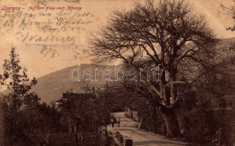 * T2/T3 Lovran, Lovrana, Laurana; Auf Dem Wege Nach Abbazia / út Abbazia Felé / Road To Opatija (Rb) - Unclassified