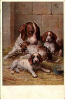 * T2/T3 Dog With Puppies. T.S.N. Serie 1544. (6 Muster) (EK) - Unclassified