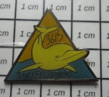 915B Pin's Pins / Beau Et Rare / INFORMATIQUE / DAUPHIN JAUNE 36 15 COLLEC PINS - Informatica