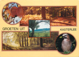 Delcampe - Belgium Groeten Uit Kasterlee  Forest And Wildlife Multi View - Kasterlee