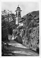 P-24-T.PL. Ba. : 9495 : BRIONE S / MINUSIO - Brione Sopra Minusio
