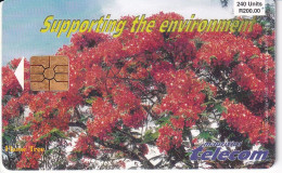 TARJETA DE MAURICIO DE FLOR DEL FLAMBOYANT - AUG 99 - TIRAGE 30000  (MAURITIUS) FLOWER - Mauritius