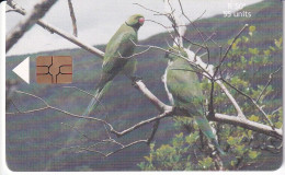 TARJETA DE MAURICIO DE ECHO PARAKEET DE AUGUST 2001 Y TIRADA 60000 (MAURITIUS) LORO-PARROT - Mauritius