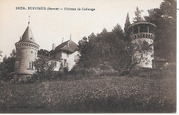 RUFFIEUX    - ( 73 ) -  Chateau De Collonge - Ruffieux