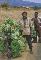 Burundi - Transport De Régimes De Bananes - Burundi