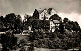 Schloss Wildegg (261) * 11. 6. 1953 - Wildegg