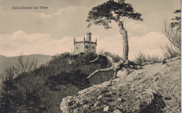 SUISSE(SALI SCHLOSALI OLTEN) ARBRE - Olten
