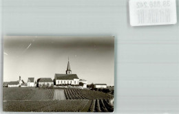 39886242 - Hochheim Am Main - Hochheim A. Main