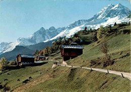 Motive Bei Brigels Mit Brigelserhörner (1457) * 8. 8. 1962 - Breil/Brigels