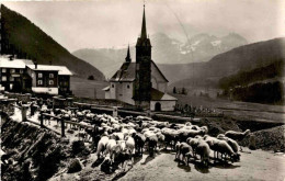 Sedrun - Die Schafherde Zieht Auf Die Weide (53-2) * 14. 5. 1952 - Tujetsch