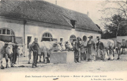 78-GRIGNON- ECOLE NATIONALE D'AGRICULTURE, RETOUR DE PLAINE A ONZE HEURE - Grignon