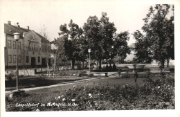 LEOPOLDSDORF , BRUCK AN DER LEITHA, ARCHITECTURE, PARK, FOUNTAIN, AUSTRIA ,POSTCARD - Bruck An Der Leitha