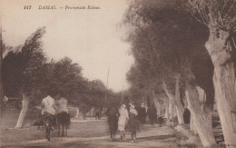 Delcampe - SYRIE  DAMAS  PROMENADE RALOUE - Syrien