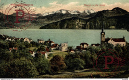 VIERWALDSTÄTTERSEE WEGGIS UND DIE ALPEN    Suiza Switzerland Suisse Schweiz - Wald