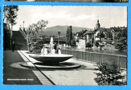 ALB109, Olten, Animée, Bahnhofterrasse, 247, Stüssi, Circulée 1955 - Olten