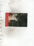 Delcampe - HONDURAS - SAN PEDRO SULA - Area Residencial - Honduras