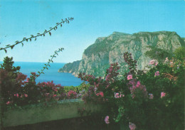 [-5%] ITALIE - Capri - Mont Solaro Où Se Trouvait Le Palais De Tibère - Carte Postale - Altri & Non Classificati