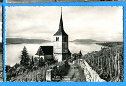 ALB243, Ligerz, Gléresse, 2151, Photoglob Wehrli, Non Circulée - Gléresse