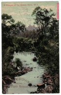 A Glimpse Of The HELENA RIVER - Western Australia - RARE - Autres & Non Classés