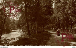 RPPC THE BANKS OF THE YARROW NR YARROWFORD - Selkirkshire