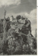 Delcampe - 46 -  Environs De   Souillac - Les Bords De La Dordogne - Château De Belcastel  ** CPSM  ** Photo Robert Doisneau - Souillac