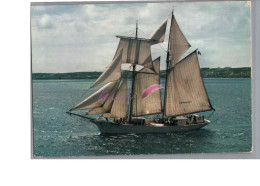 Delcampe - BATEAUX DE PLAISANCE VOILIERS - L'étoile Goélette école De La Marine - Segelboote