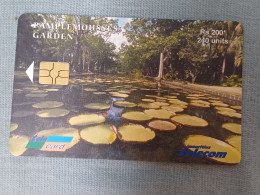 MAURITIUS - 0098 - Pamplemousses Garden - Front Logo (Date - No Barcode) - 30.000EX. - 240 UNITS - Mauritius