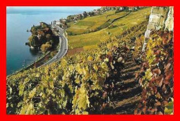 CPSM/pf  RIVAZ (Suisse)  Vue Patielle Du Village Et Des Vignes Surplombant Le Lac Léman..*11386 - Rivaz