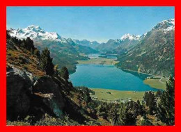 2 CPSM/gf  SILVAPLANA (Suisse)  Vue Panoramique / Régate Sur Le Lac..*11388 - Silvaplana