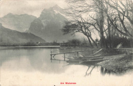 AK Am Walensee (ZA3600) - Lac De Walenstadt