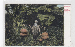 Old Calabash Carrier. Hawaian Islands. * - Hawaï