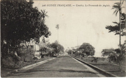 Delcampe - PC CONAKRY PROMENADE DES ANGLAIS FRENCH GUINEA (a28703) - Französisch-Guinea