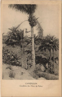 Delcampe - PC CEUILLETTE DES NOIX DE PALME CAMEROON ETHNIC TYPE (a27961) - Kamerun