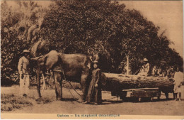 Delcampe - PC MISSIONARIES UN ELEPHANT DOMESTIQUE GABON (a27916) - Gabun