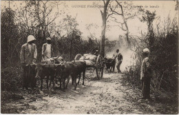 Delcampe - PC KINDIA ATTELAGE DE BOEUFS FRENCH GUINEE AFRICA (a25630) - Französisch-Guinea