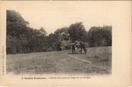 Delcampe - PC ENTRÉE D'UN PONT DE SINGE SUR UN MARIGOT FRENCH GUINEE AFRICA (a25612) - Französisch-Guinea