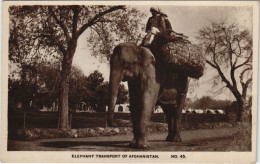 Delcampe - PC PAKISTAN, ELEPHANT TRANSPORT, Vintage REAL PHOTO Postcard (b43406) - Pakistan