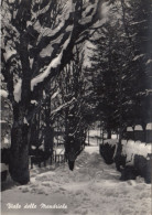 Delcampe - CARTOLINA  DOGANA NUOVA M. 1100 MODENA EMILIA ROMAGNA VILLA MARIA IMMACOLATA IALE DELLE MANDRIOLE VIAGGIATA 1957 Y34 - Modena