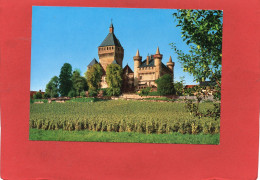 SUISSE----CHATEAU DE VUFFLENS S/ MORGES---voir 2 Scans - Vufflens-le-Château
