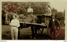 Delcampe - Fotopostal   REAL PHOTO POSTCARD - Bauern