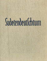 Buch WK II Sudetendeutschtum Ein Land, Ein Volk Und Seine Arbeit Verlag Ed. Kaiser 1936 Leipzig 264 S. II (hinten Einige - 5. World Wars