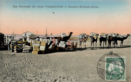Kolonien Deutsch-Südwestafrika Stpl. Keetmanshoop 15.5.1912, Dromedar Als Neues Transportmittel I-II Colonies - Ehemalige Dt. Kolonien