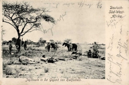 Kolonien Deutsch-Südwestafrika Stpl. Okahandja 19.4.1905, Jagdbeute In Der Gegend Von Riedfontein I-II Colonies - Ehemalige Dt. Kolonien