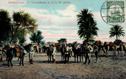 Kolonien Deutsch-Südwestafrika Stpl. Okahandja, Schutztruppe Mit Dromedaren I-II Colonies - Ehemalige Dt. Kolonien
